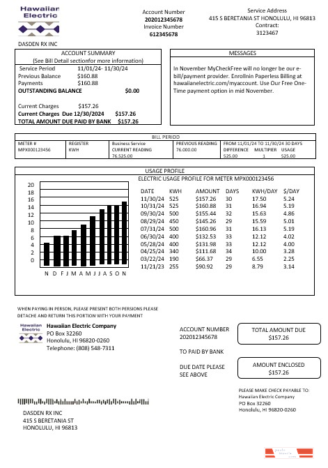 USA Hawaiian Electric business utility bill template in Word and PDF formats